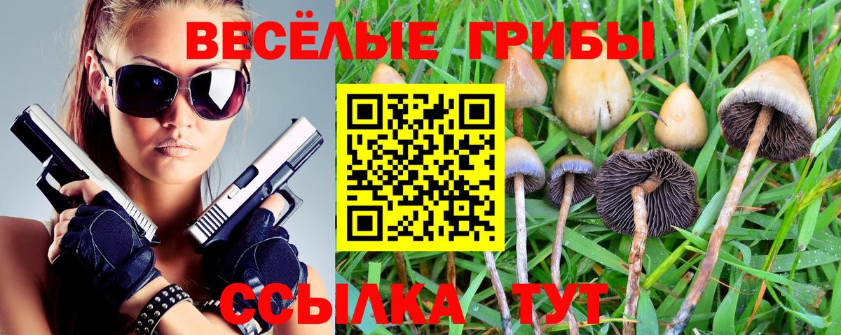 Аша  Галлюциногенные грибы Cubensis  Вход с VPN 