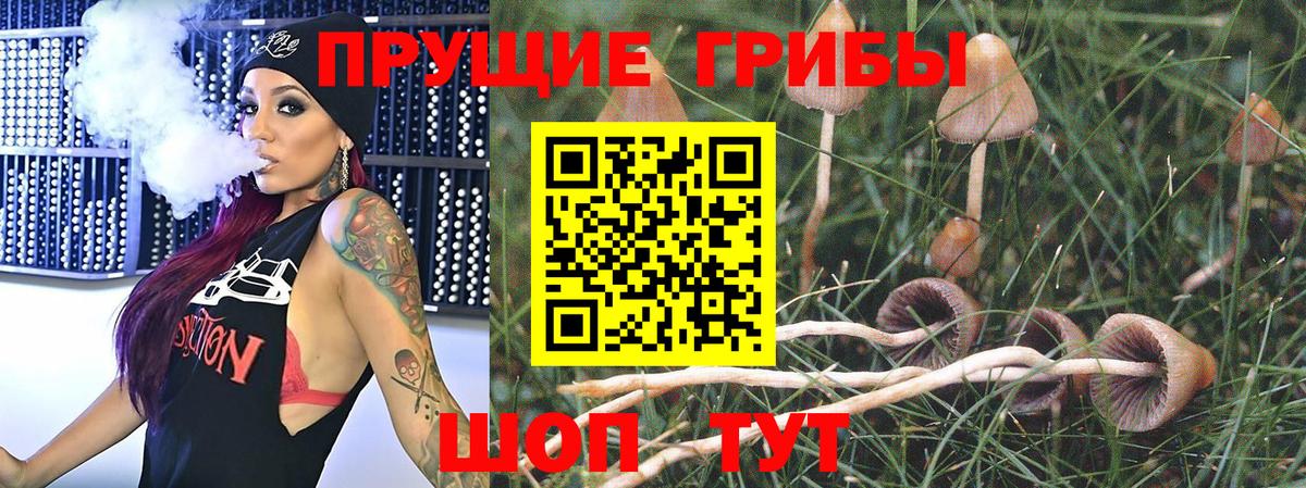 Кодеин  ГАШ  НБОМе  COCAIN  Alpha PVP СОЛЬ кристаллы  Метадон  Бошки Шишки  Вход с VPN  Мефедрон   Аша  Амфетамин  